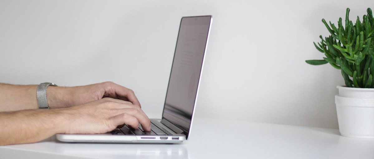 Händer som skriver på en laptop, en grön blomma vid sidan om.